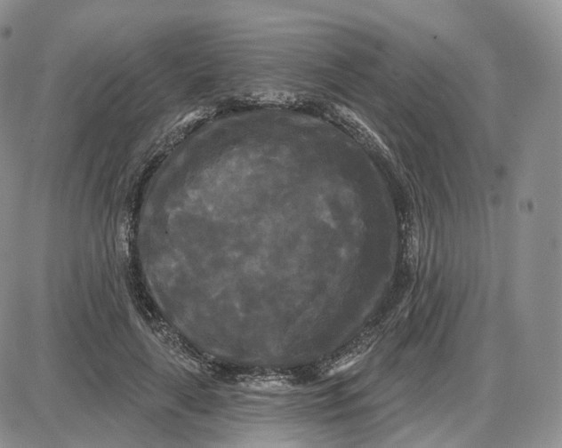 X0000087630643200705241216