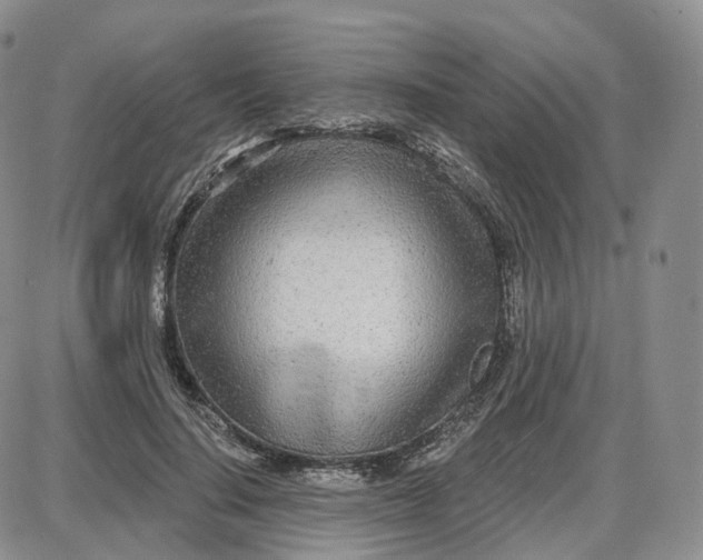 X0000087630644200705241216