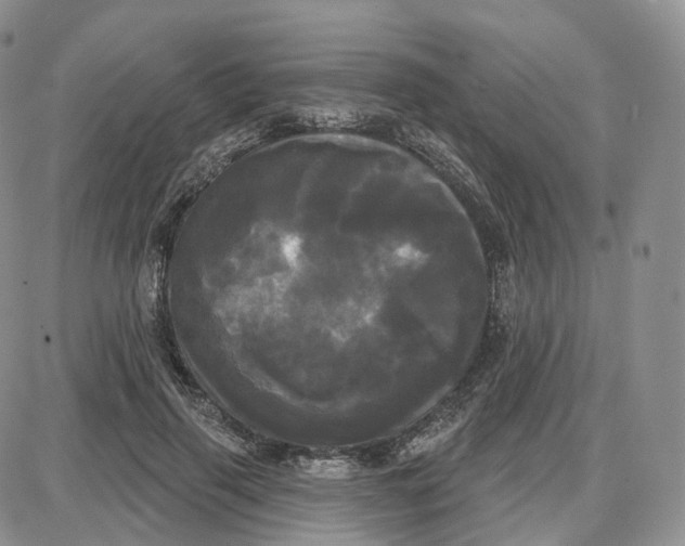 X0000087630645200705241216