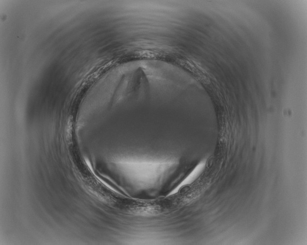 X0000087630646200705241216