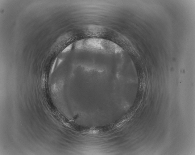 X0000087630647200705241216