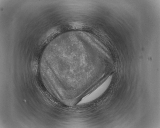 X0000087630648200705241216