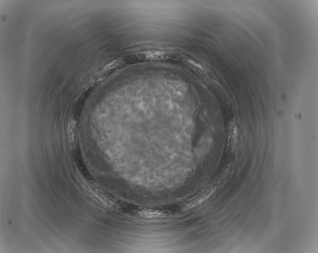 X0000087630650200705241216