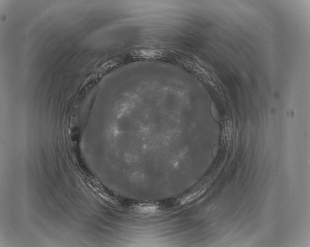 X0000087630651200705241216