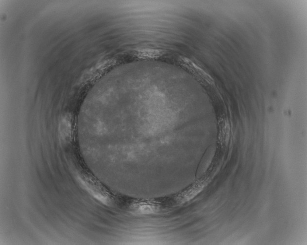 X0000087630655200705241216