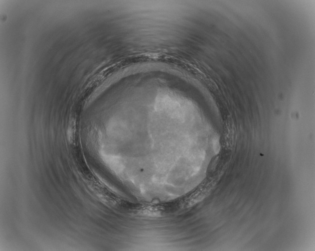 X0000087630656200705241216