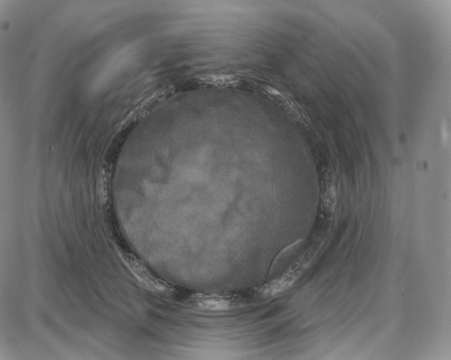 X0000087630658200705241216