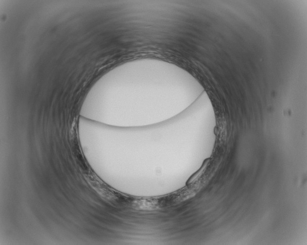 X0000087630660200705241216