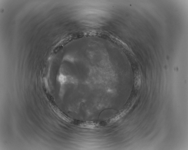 X0000087630661200705241216