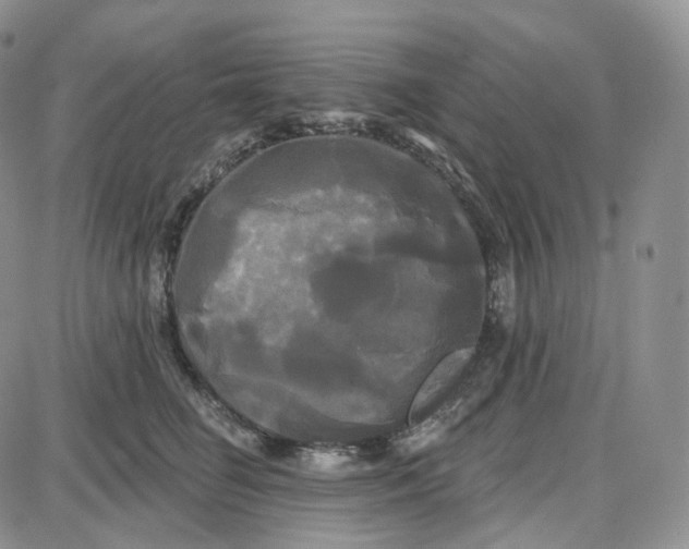 X0000087630662200705241216