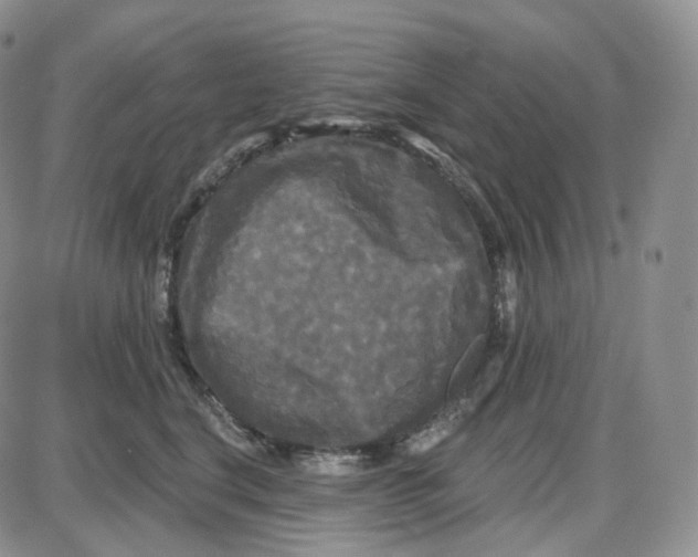 X0000087630664200705241216