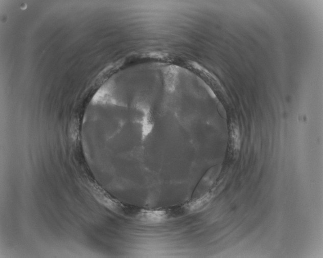 X0000087630665200705241216