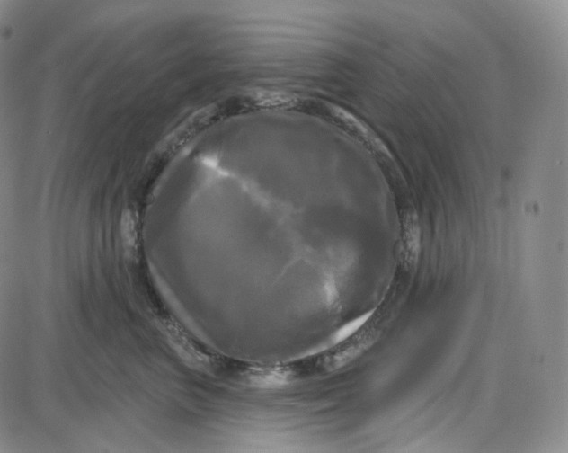 X0000087630667200705241216