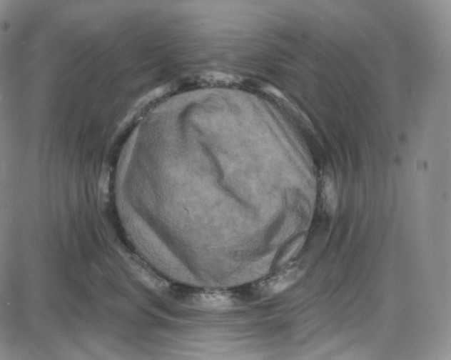 X0000087630668200705241216