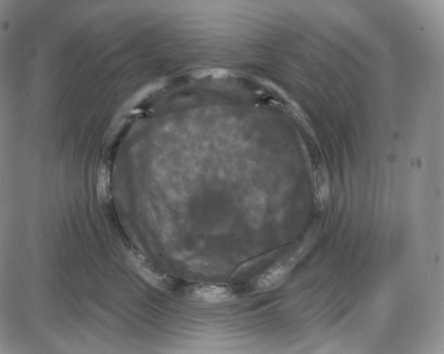 X0000087630669200705241216