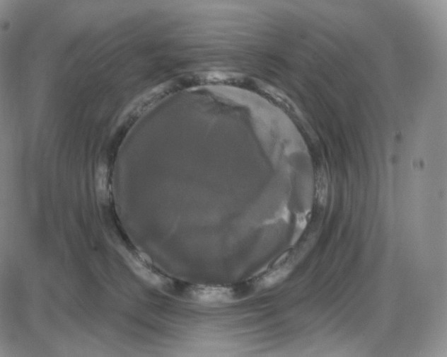 X0000087630670200705241216