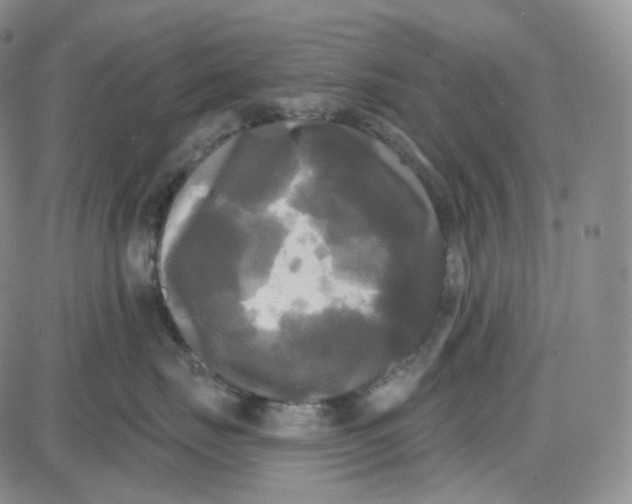 X0000087630671200705241216