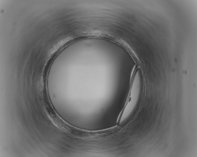 X0000087630674200705241215