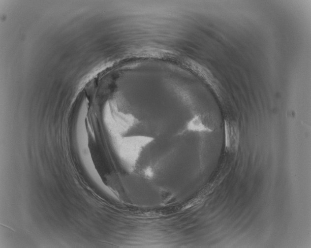 X0000087630675200705241215