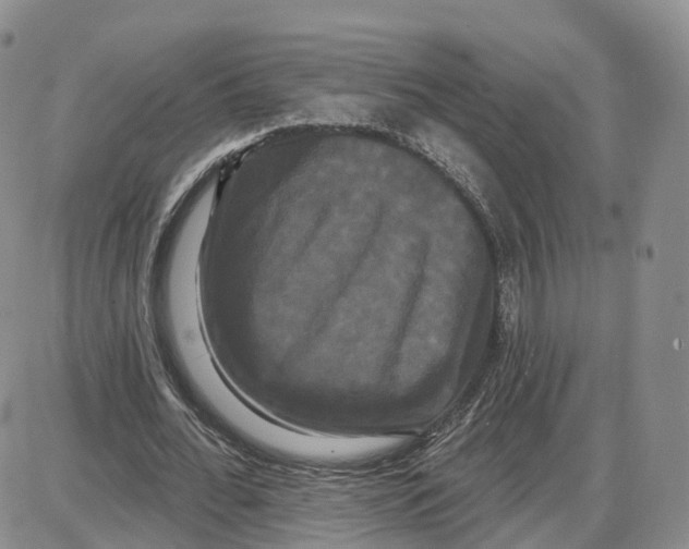 X0000087630676200705241215