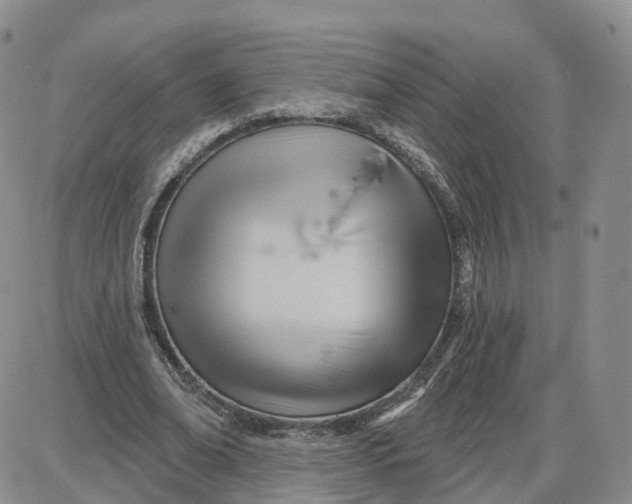 X0000087630678200705241215