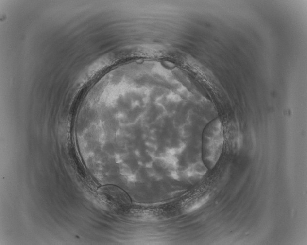 X0000087630679200705241215