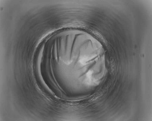 X0000087630680200705241215