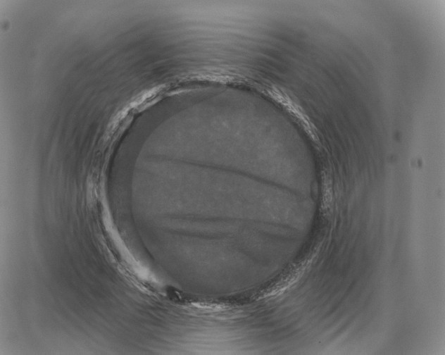 X0000087630681200705241215