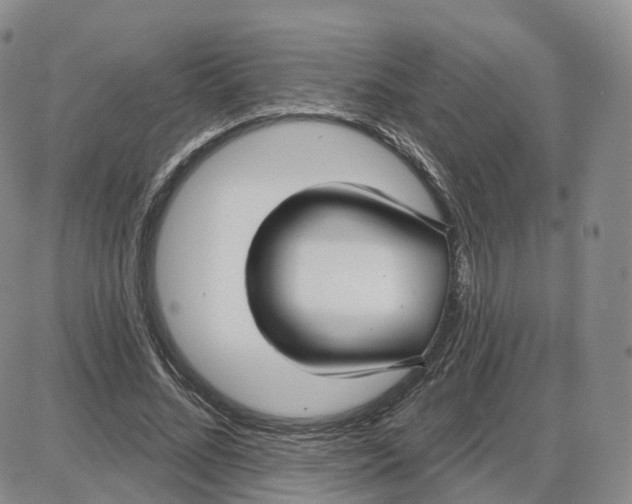 X0000087630684200705241215