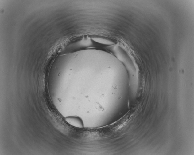 X0000087630685200705241215