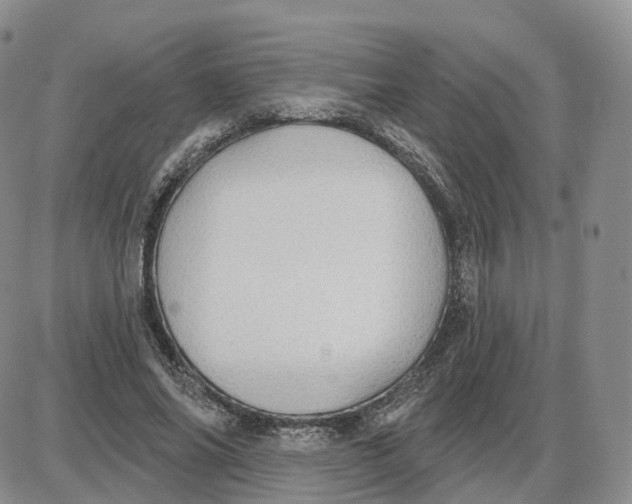 X0000087630686200705241215