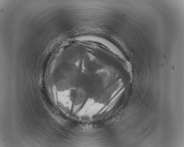 X0000087630687200705241215