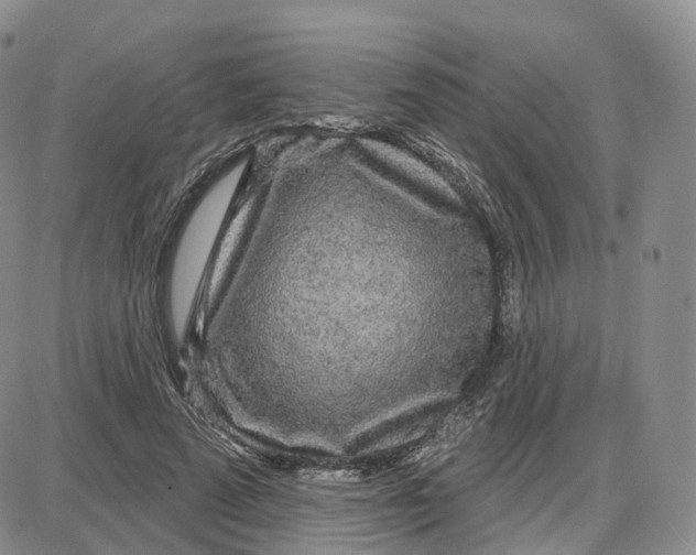 X0000087630689200705241215