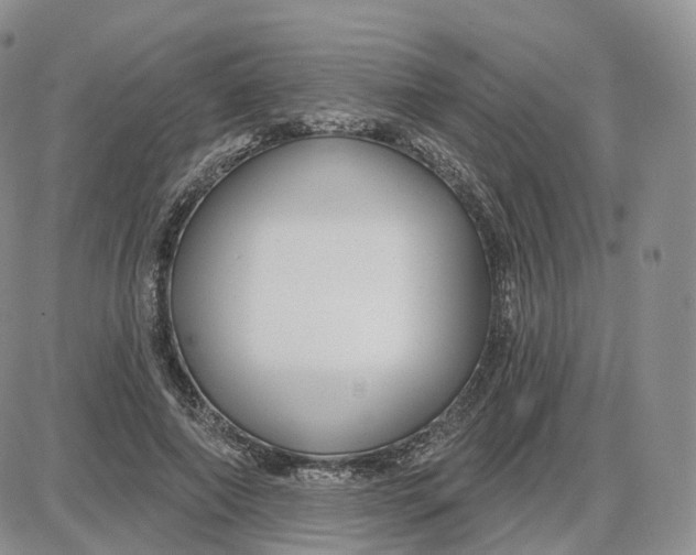 X0000087630690200705241215