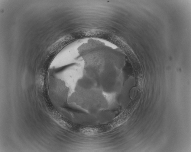 X0000087630691200705241215