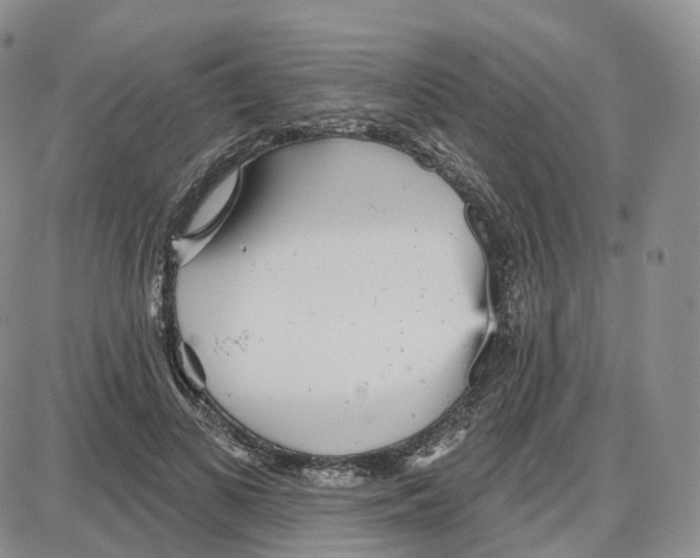 X0000087630693200705241215