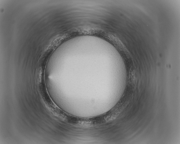 X0000087630694200705241215