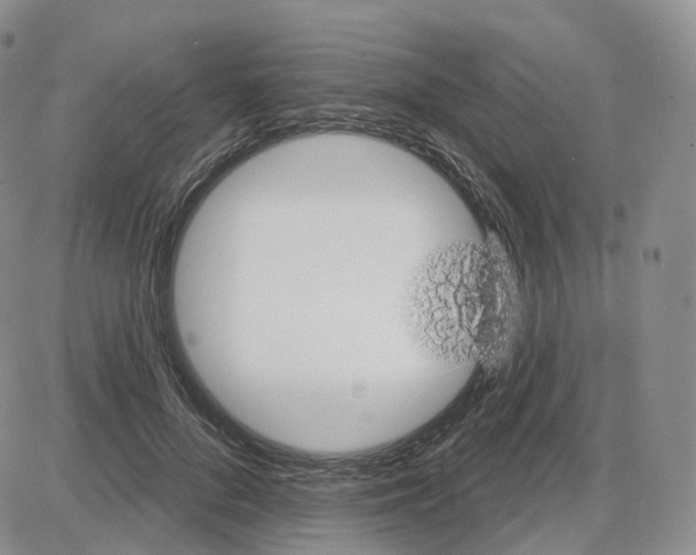 X0000087630696200705241215