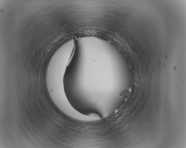 X0000087630697200705241215