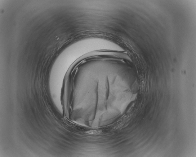 X0000087630700200705241215