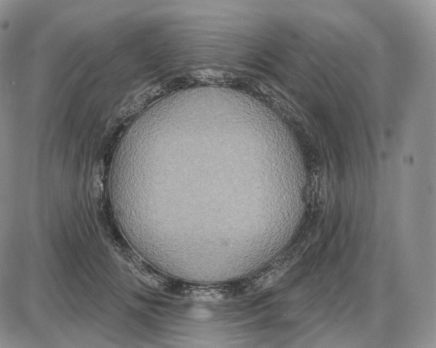 X0000087630702200705241215