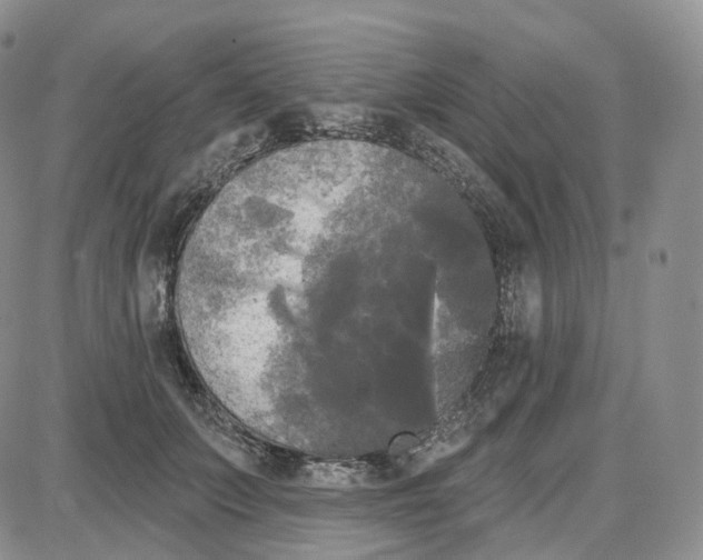 X0000087630703200705241215