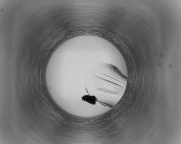 X0000087630704200705241215