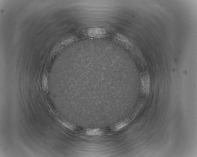 X0000087630705200705241215