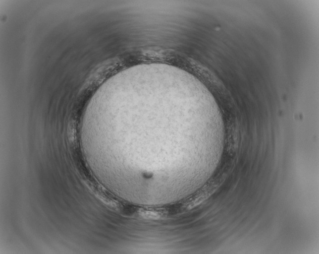 X0000087630706200705241215