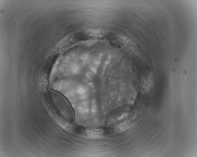 X0000087630707200705241215