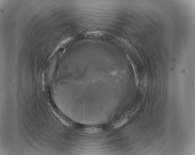 X0000087630708200705241215