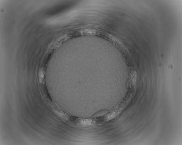 X0000087630709200705241215