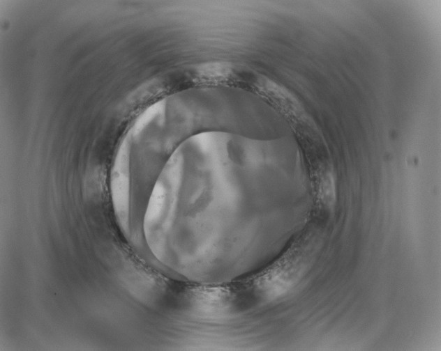 X0000087630711200705241215