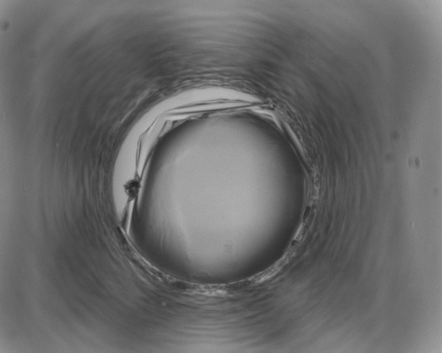 X0000087630712200705241215